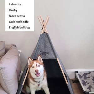 May include: A gray and black dog bed shaped like a teepee with a wooden frame. The bed has the name "Calypso" embroidered on the front. A husky dog is sitting inside the bed. The bed is 35.5 inches tall.