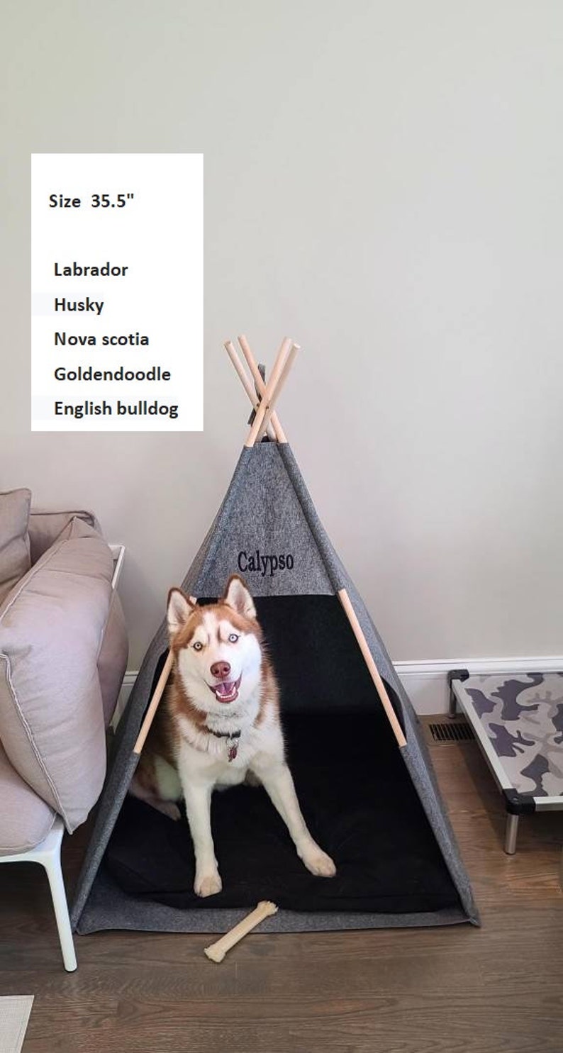 May include: A gray and black dog bed shaped like a teepee with a wooden frame. The bed has the name "Calypso" embroidered on the front. A husky dog is sitting inside the bed. The bed is 35.5 inches tall.