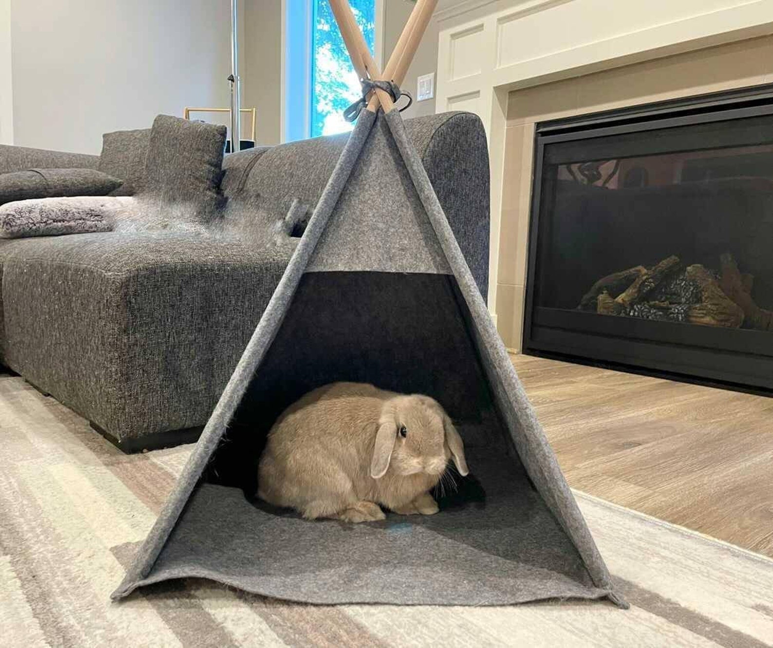 Bunny Bed House Indoor Rabbit Bed Can Be Personalized Etsy New Zealand