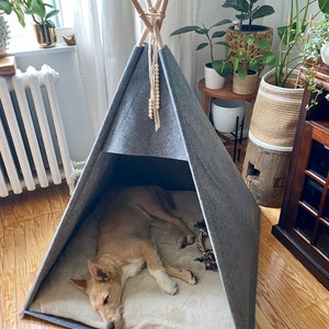 May include: A gray felt dog bed shaped like a teepee with a wooden frame and a beige cushion inside. A small brown and white dog is sleeping inside the teepee.