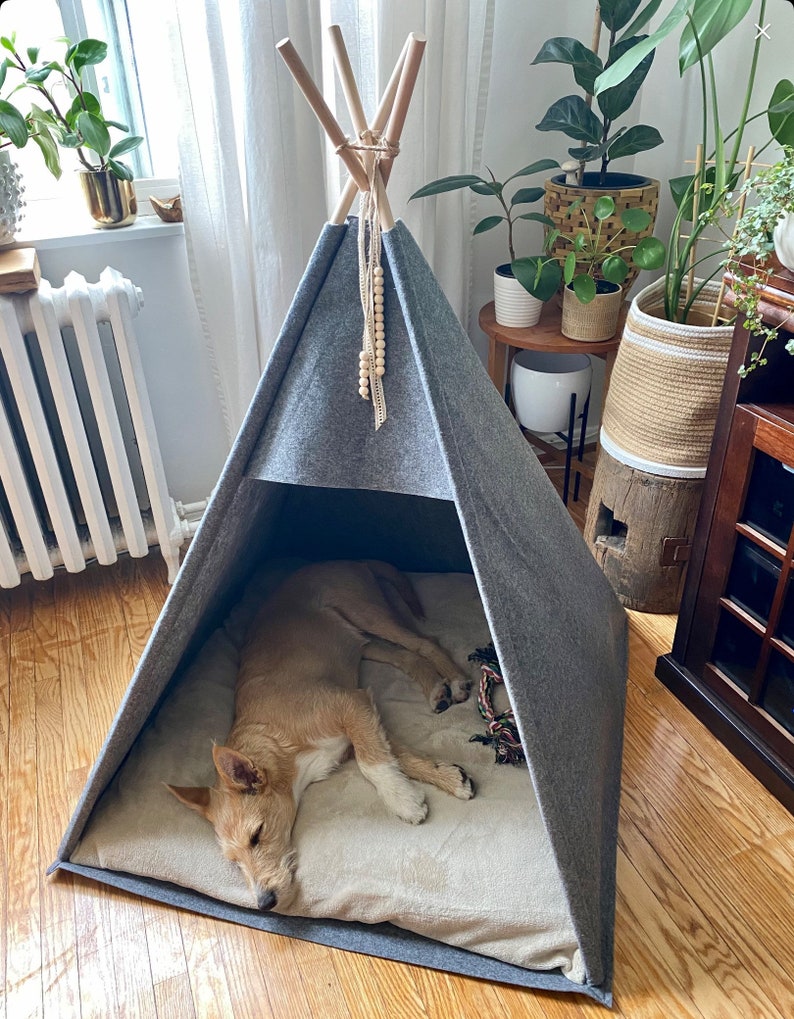 May include: A gray felt dog bed shaped like a teepee with a wooden frame and a beige cushion inside. A small brown and white dog is sleeping inside the teepee.