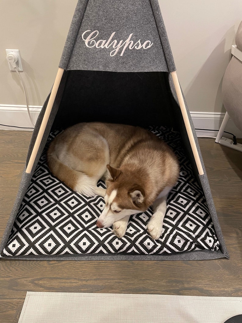May include: A gray and white dog bed in the shape of a teepee with the name "Calypso" embroidered on the front. A brown and white husky dog is lying inside the teepee.