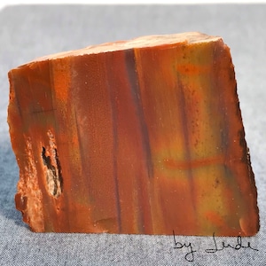 Polished Arizona Rainbow Petrified Wood Decor: Desktop Shelf Display
