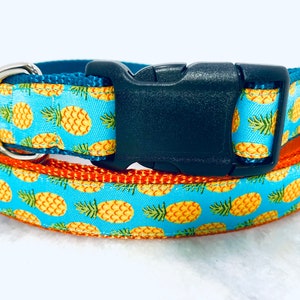 May include: A blue and orange dog collar with a pineapple pattern. The collar has a black plastic buckle and a silver D-ring.
