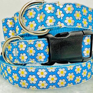 Daisy Dog Collar Blue Floral 1 inch Wide Martingale or Buckle