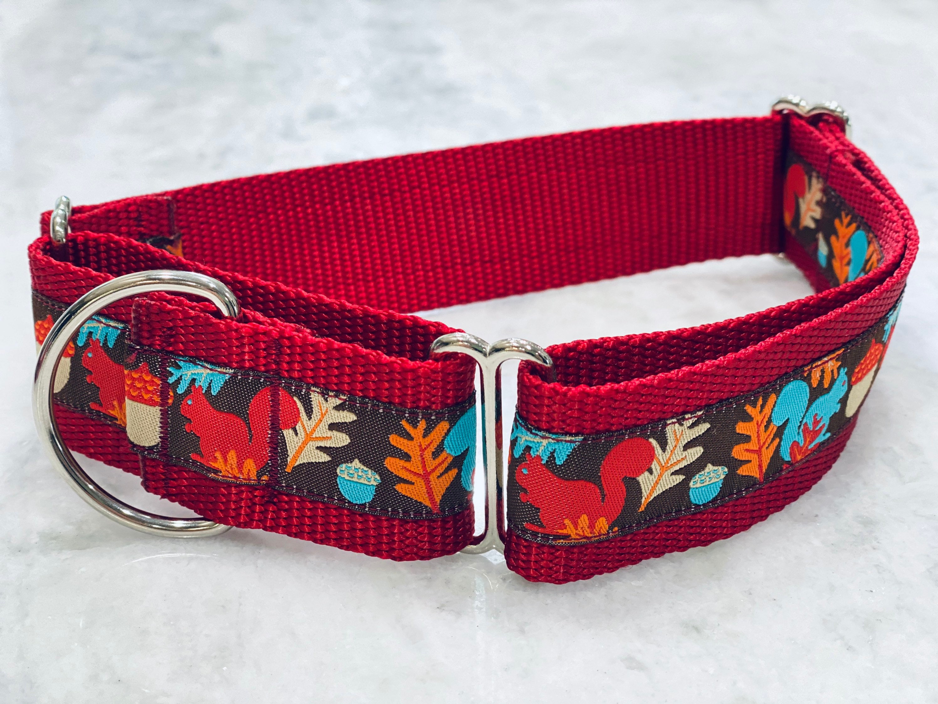 Squirrel Acorn Dog Collar Red and Turquoise Martingale or Flat Etsy.de
