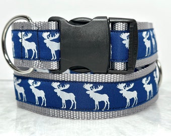 Moose Dog Collar Martingale or Buckle 1.5 inch Wide