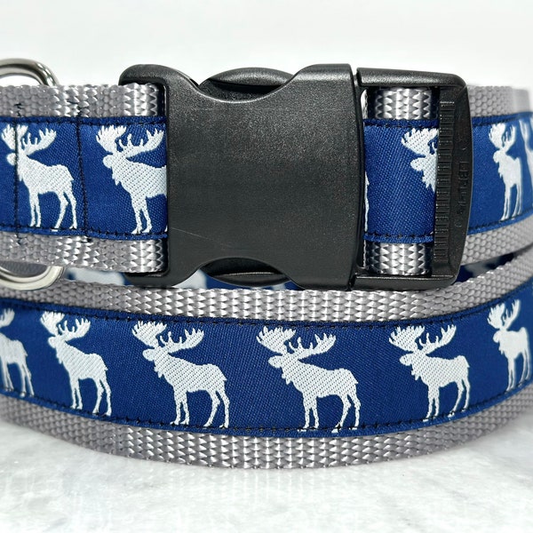 Moose Dog Collar Martingale or Buckle 1.5 inch Wide