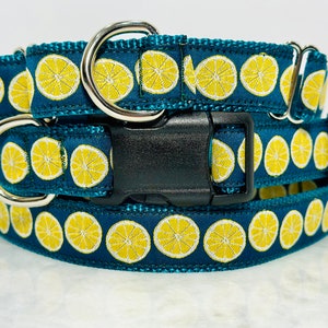 Lemons on Teal Dog Collar Martingale or Buckle 1 inch Wide