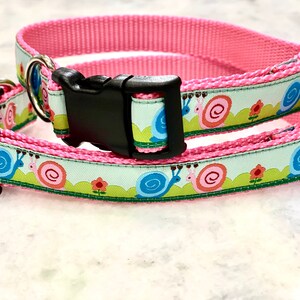 Sweet Snails Dog Collar Traditional Buckle 3/4 inch