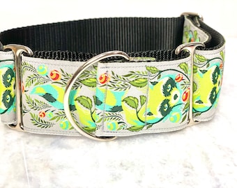 Raccoon 2” Martingale Dog Collar, Giant Breed Collar