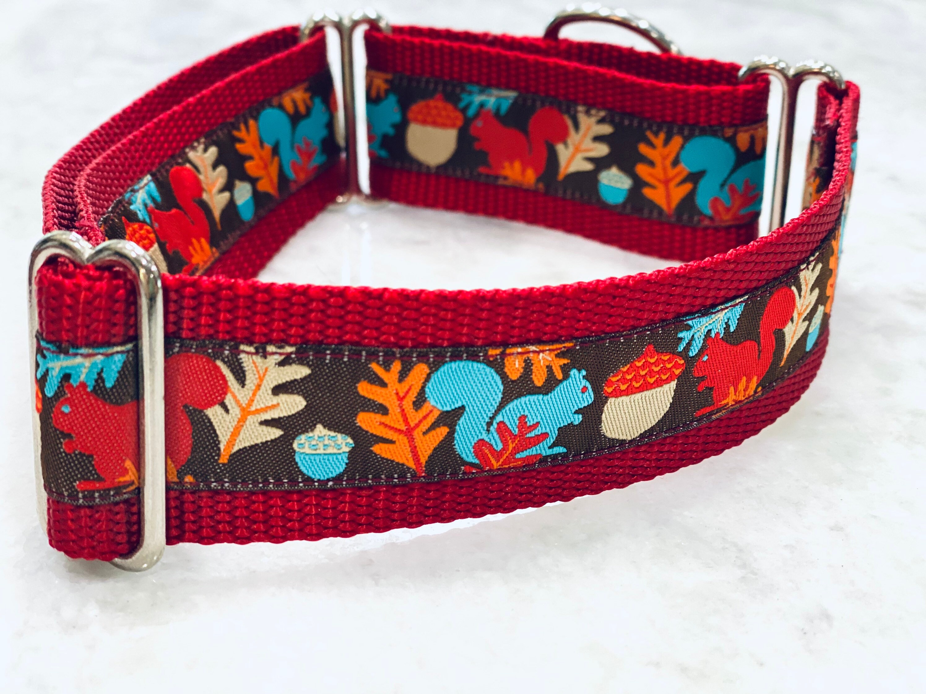 Squirrel Acorn Dog Collar Red and Turquoise Martingale or Flat Etsy.de