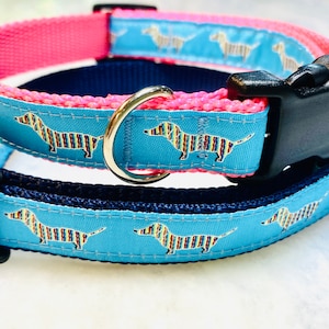 Dachshund Weiner Dog Collar, Ribbon on 3/4” Wide Nylon Webbing with Buckle.