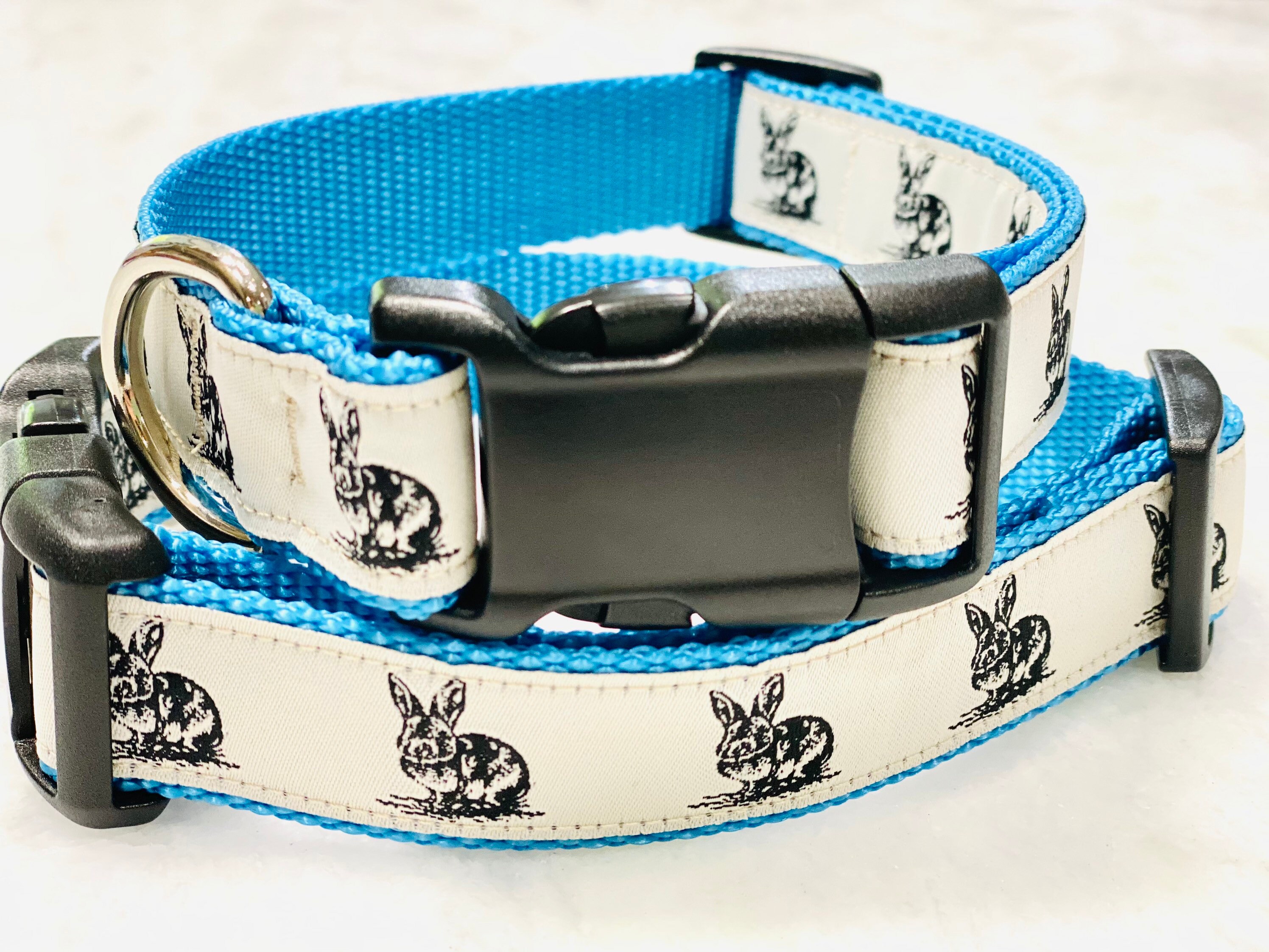 Bunny Rabbit Dog Collar Martingale or Buckle 1 inch Nylon Etsy