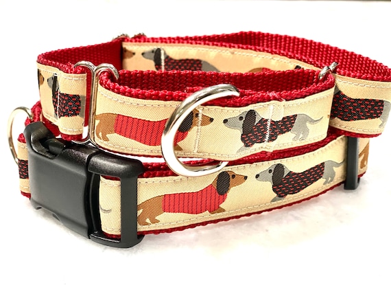 Dachshund Dog Collar Martingale or Traditional Buckle 1 inch, Weiner Dog in Sweater