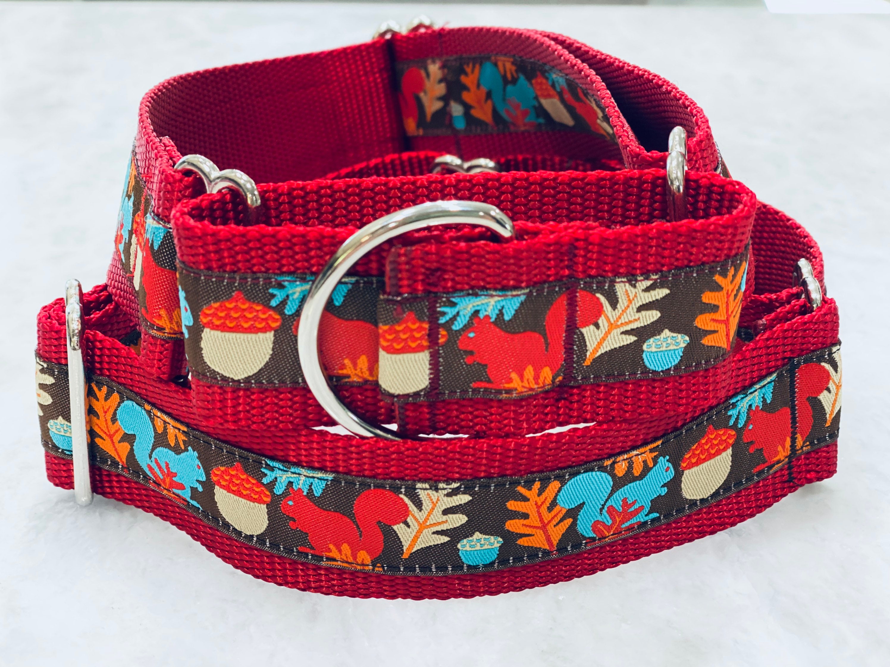 Squirrel Acorn Dog Collar Red and Turquoise Martingale or Flat Etsy