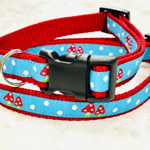 Red Toadstool Mushroom Dog Collar Traditional Buckle 3/4 inch