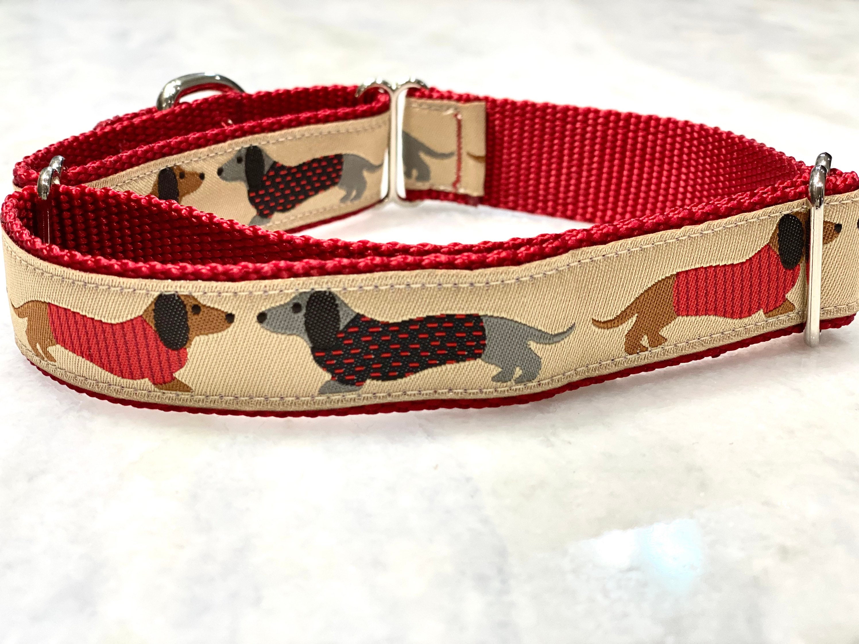 Dachshund Dog Collar Martingale or Traditional Buckle 1 Inch Etsy UK