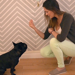 Op de afbeelding: Een vrouw in een groene blouse en een bruin vest zit met gekruiste benen op de vloer. Ze houdt haar hand uit naar een zwarte Franse bulldog die voor haar zit.