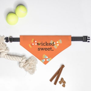 Wicked Sweet Collar Pet Bandana, Halloween, Dog, Cat, Pet Gift, Pet Costume
