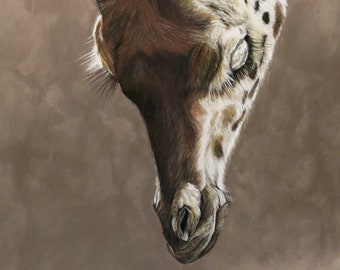 Original Giraffe Drawing - Gilded - 32" x 40"