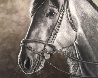 Original Horse Drawing - Bronze - 36.5" x 47"