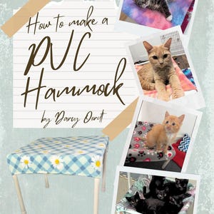May include: A tutorial titled "How to make a PVC Hammock" by Darcy Orett. The image features a small table with a blue and white daisy pattern, and several photos of cats. The table has white legs and a blue and white checkered top.