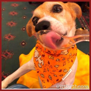 Snoopy Rakes Leaves Reversible Overthecollar Dog Bandana - Etsy