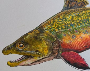 Brook Trout  - watercolor painting original art fisherman Michigan