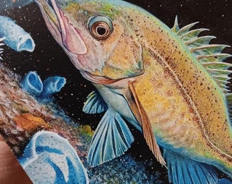 Rockfish Notecards (pack of 2)