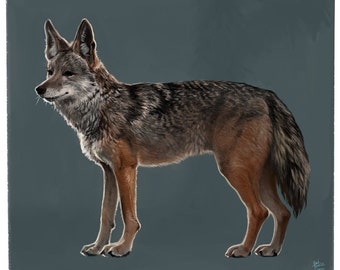 Monsoon Coyote - Art Gallery Decorative Painting Print 5 x 7 inches desert wildlife art canine decor Western Southwest Mojave