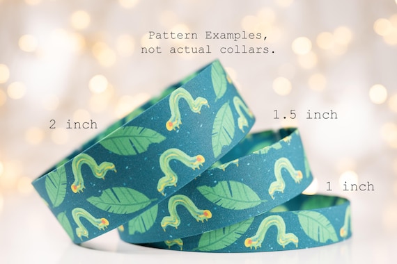 Inch Worm Boogie - Collars and Leashes