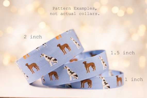 Brindle and Harlequin Great Danes on Blue