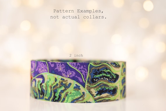 Large Colorful Nautilus Shells (matching Bow-ties and Leashes available)