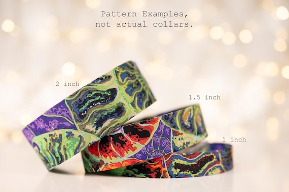 Large Colorful Nautilus Shells (matching Bow-ties and Leashes available)