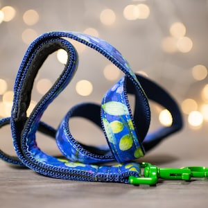 Riemen die bij je halsband passen!