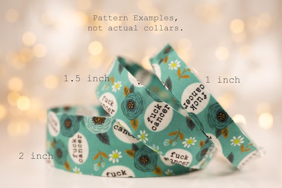 Our Thoughts on Cancer - Collars and Leashes