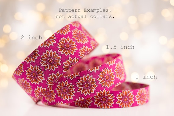 Floral Happiness of Dahlia Blooms in Orange on Pink : Collars and Leashes