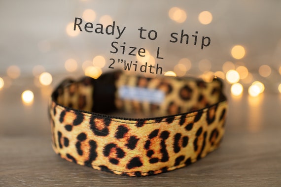 Ready-made collar: Large Patterned Jaguar Print Collar - 2" Large on Black webbing
