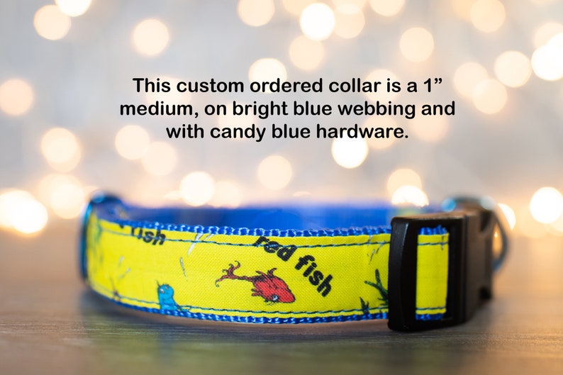 May include: A 1-inch medium dog collar with bright blue webbing and candy blue hardware. The collar features a yellow background with a red fish and blue bird illustration and the text "red fish".
