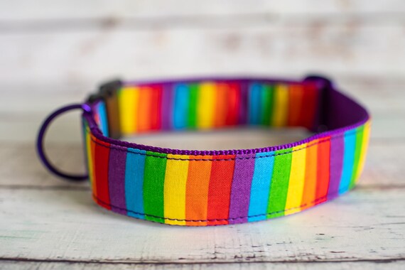 Rainbow Pride! (matching Bow-ties and Leashes available)