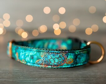 turtle dog collar