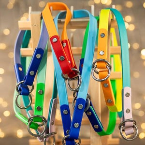 May include: A display of colorful dog collars in various shades, including blue, green, orange, and pink. Each collar features a silver metal ring and is attached to a wooden display stand. The collars are made of a flexible material.