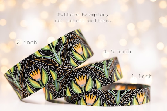 Spring in the North Woods: Collars and Leashes