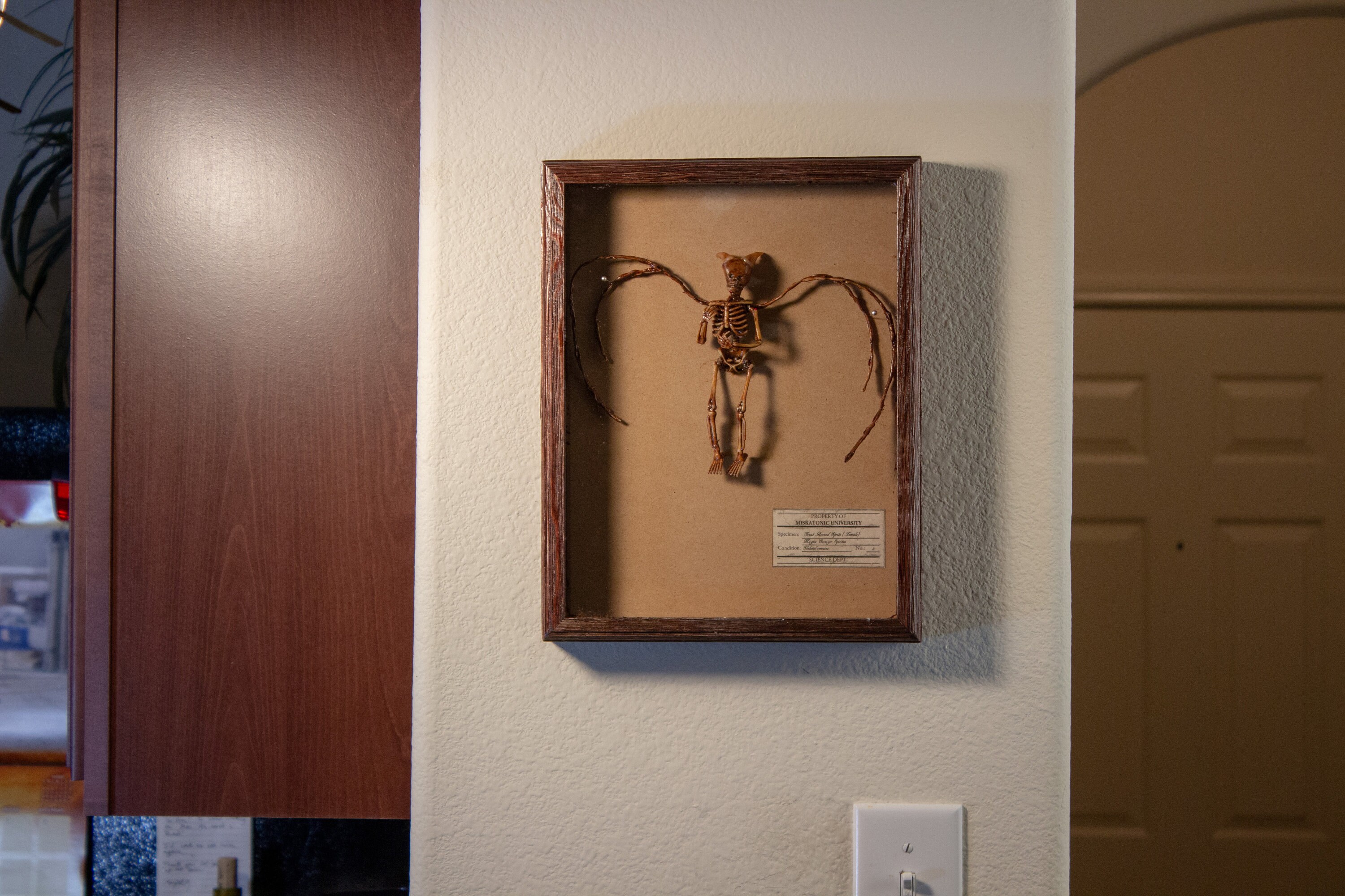 Rare Great Horned Sprite: Exquisite Skeletal Remains of a Mythical ...