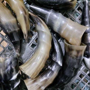 Lot of 10. Handmade drinking  horn. (VIKING HORN)