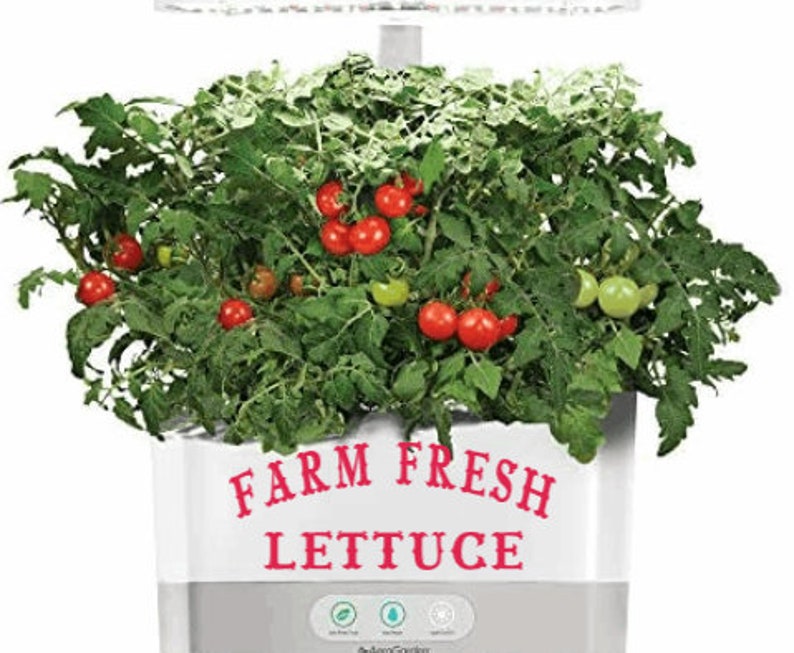 Fun Decorative Decal FARM FRESH LETTUCE 4 colors to choose from Aerogarden Idoo Moistland Kratky indoor hydroponics Aero garden
