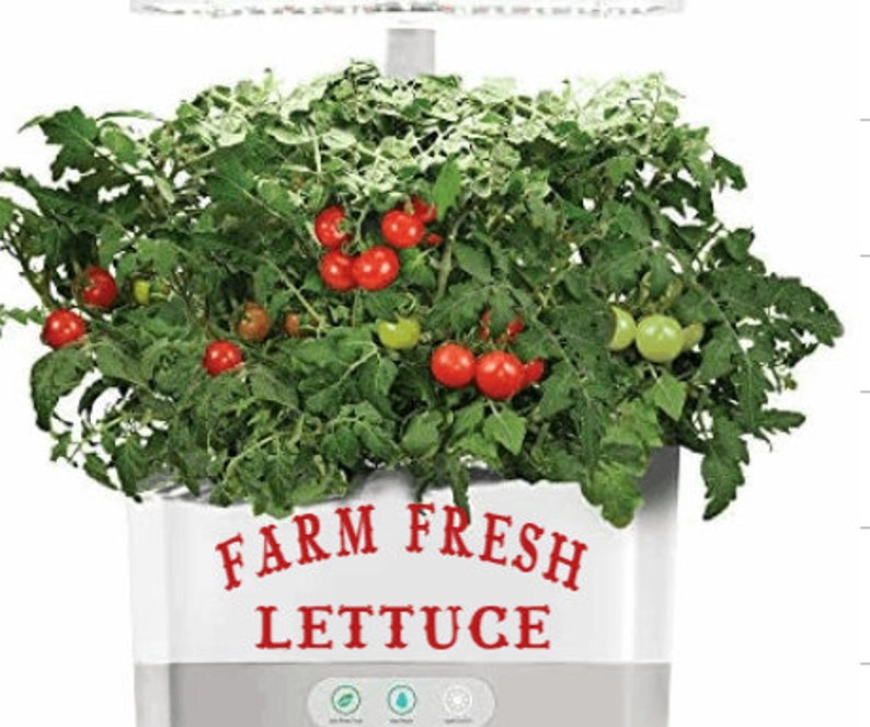 Fun Decorative Decal FARM FRESH LETTUCE 4 colors to choose from Aerogarden Idoo Moistland Kratky indoor hydroponics Aero garden