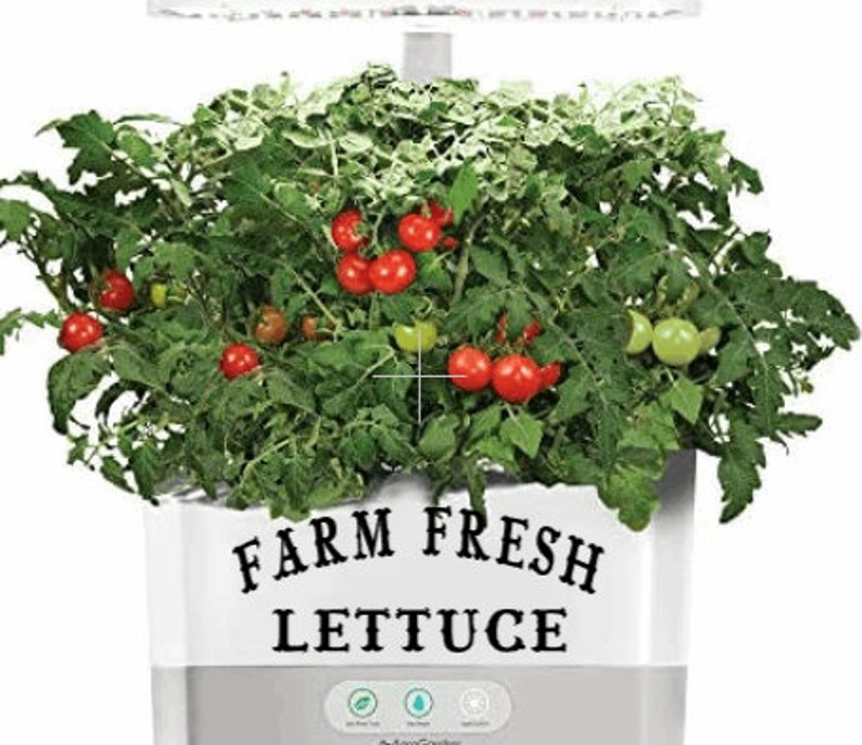 Fun Decorative Decal FARM FRESH LETTUCE 4 colors to choose from Aerogarden Idoo Moistland Kratky indoor hydroponics Aero garden