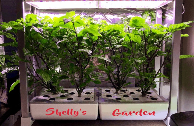Fun Decorative Decal FARM FRESH LETTUCE 4 colors to choose from Aerogarden Idoo Moistland Kratky indoor hydroponics Aero garden